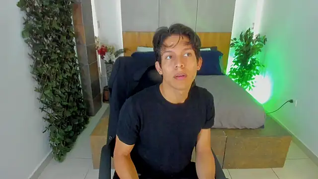 LevinFox webcam