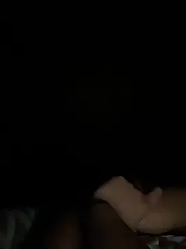 Toiyeuanh webcam