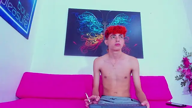 Thomy_hard webcam