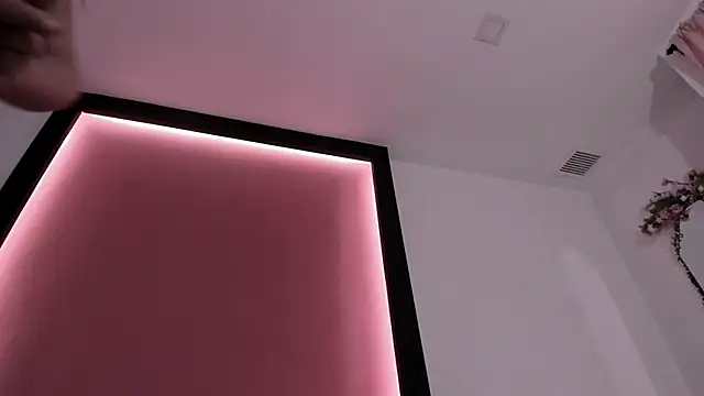 Ada_7 webcam
