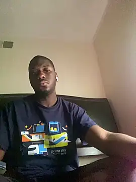 ThickDic28 webcam