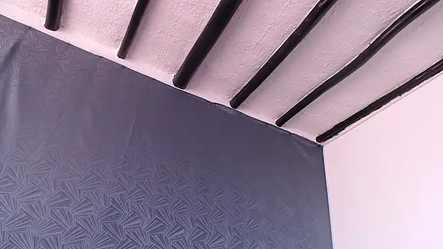 Freyja_eter webcam