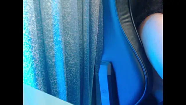 Model29 webcam