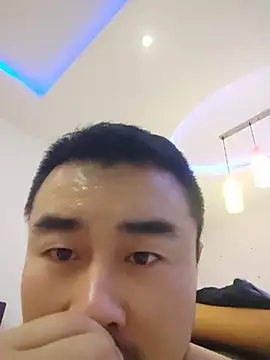 guozuo webcam