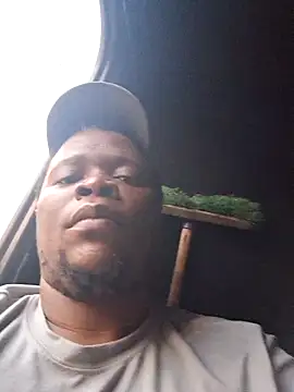 silverbearboy webcam