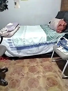 BigGamecharger webcam