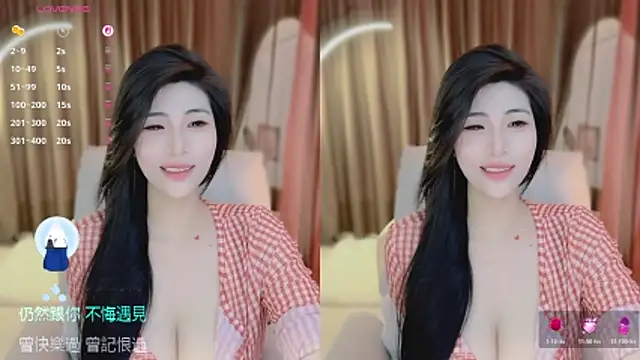 Vaidurya-Yolo webcam