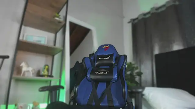 NovaaWheler webcam
