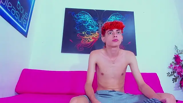 Thomy_hard webcam