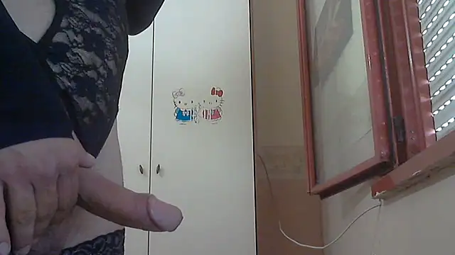 CrazyBoy95 webcam