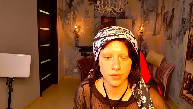 LidaDarknet webcam
