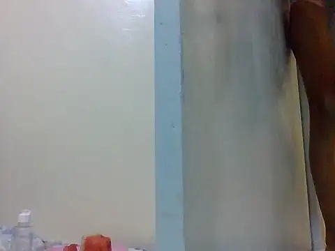 macecce webcam