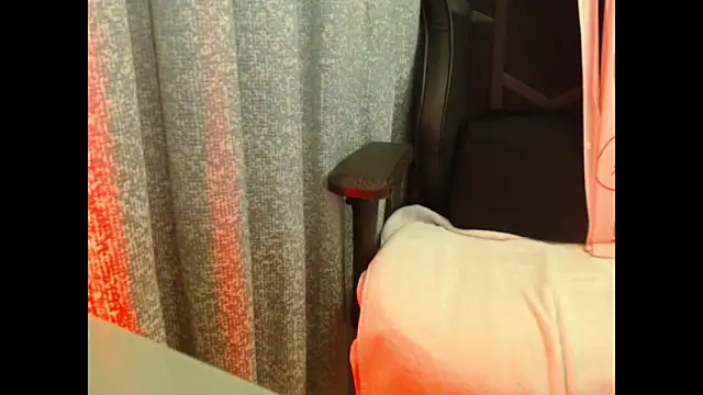 Model29 webcam