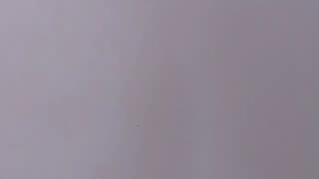 abby_stp webcam
