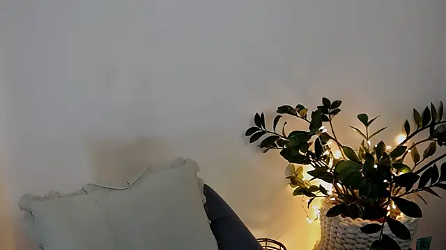 Xentthia webcam