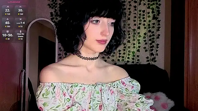 mistyverse webcam