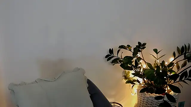 Xentthia webcam