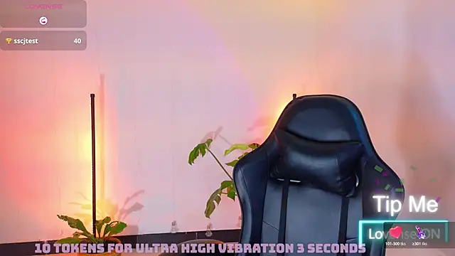 Sarasavage webcam