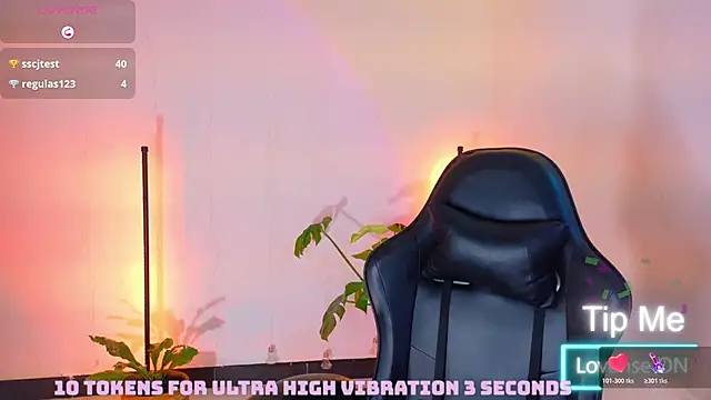Sarasavage webcam