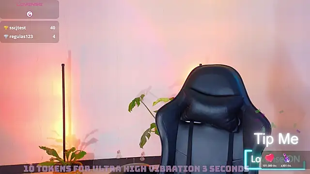 Sarasavage webcam