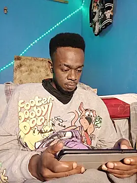 69_SINNS webcam