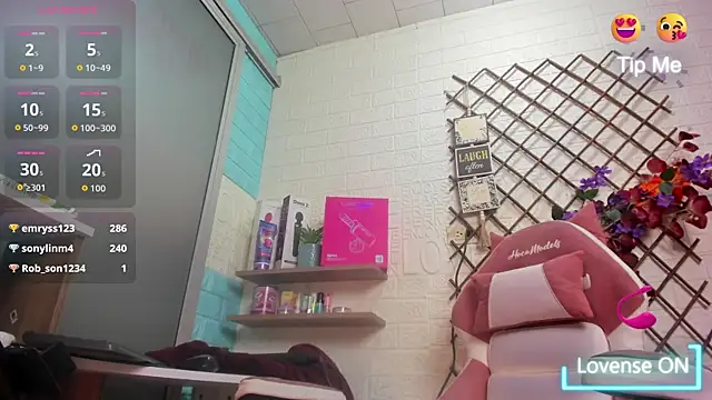 SALOME_KORLAND webcam