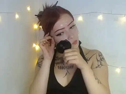 Evanss_lx webcam