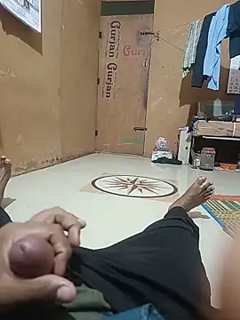 bkstar14 webcam