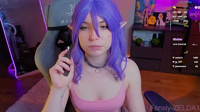 zelda_1 webcam