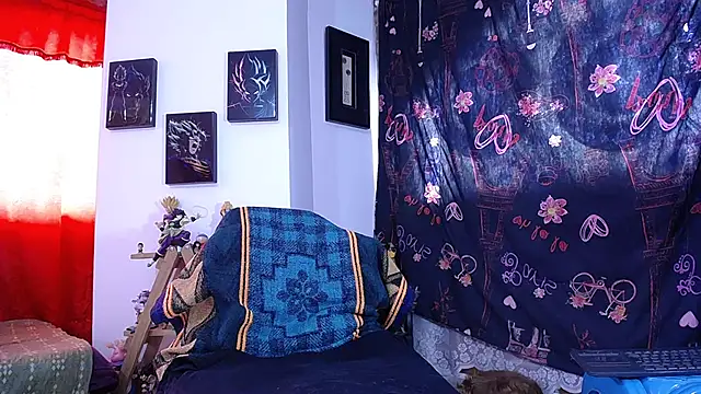 damn_fox webcam