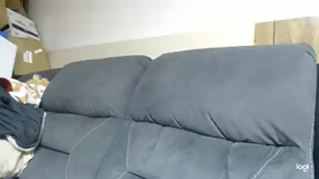 BrisonChase webcam