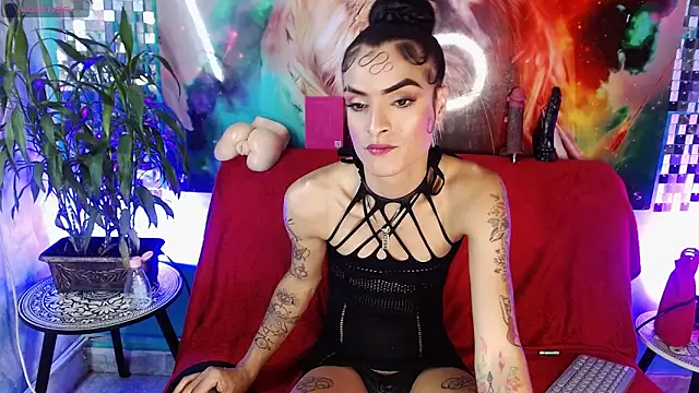 ZAMMIRA webcam