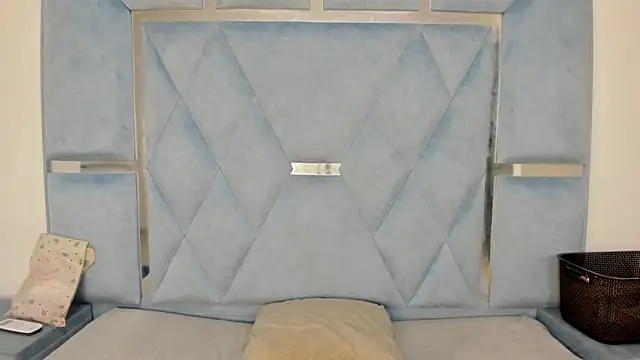 Lucy_asm webcam