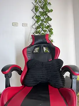 NelModel1 webcam