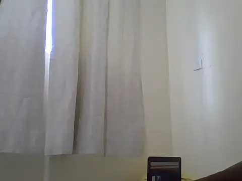 Swt_pie webcam