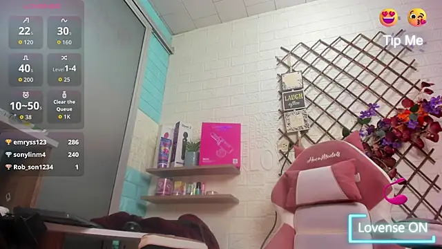 SALOME_KORLAND webcam