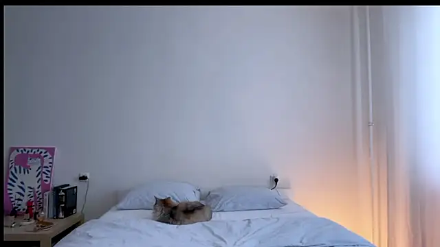 Milky___Way webcam