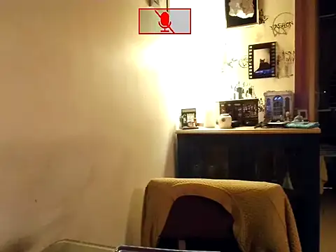 Hgay6935 webcam
