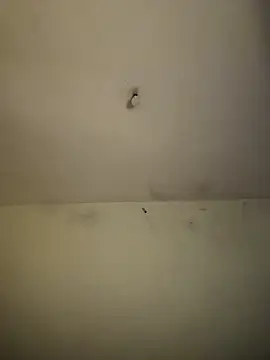 arabayla webcam
