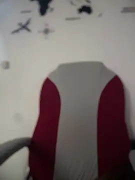 Sasha-firee webcam