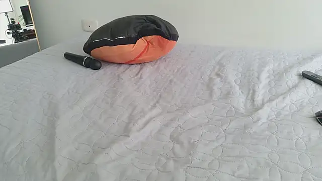 grey___27 webcam