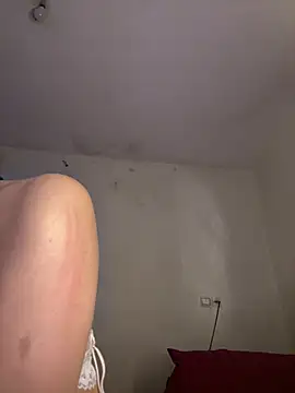 arabayla webcam