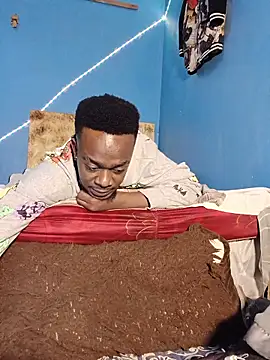 69_SINNS webcam