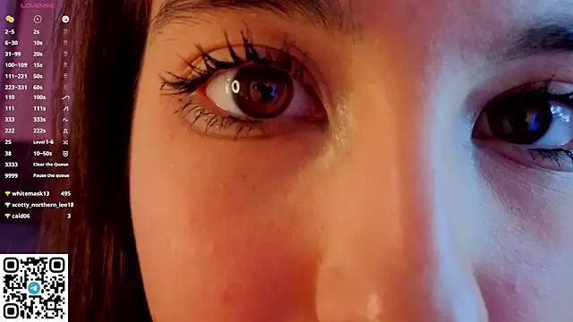 NerixalVire webcam