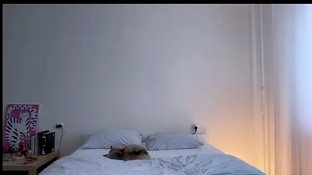 Milky___Way webcam