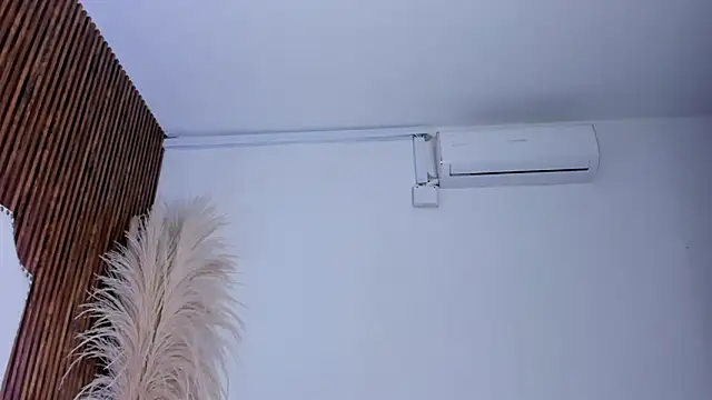 _Cherry_fox webcam
