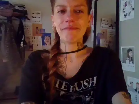plsmecha webcam