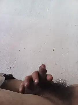 Milo150392 webcam