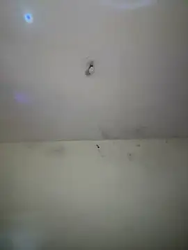 arabayla webcam