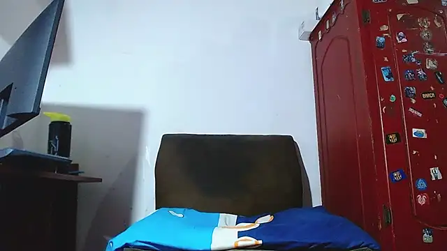 bulguehot webcam